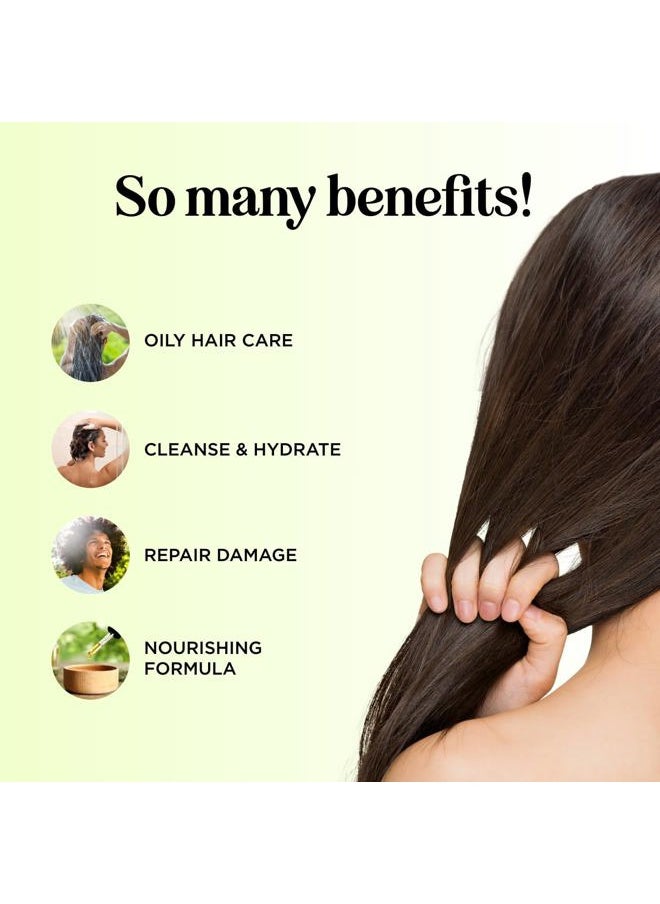 Tea Tree Conditioner for Dry Hair - Tea Tree Oil Conditioner for Oily Hair and Sulfate Free Conditioner for Dry Hair - Cleansing Conditioner and Tea Tree Dry Scalp Care with Tea Tree Oil for Hair