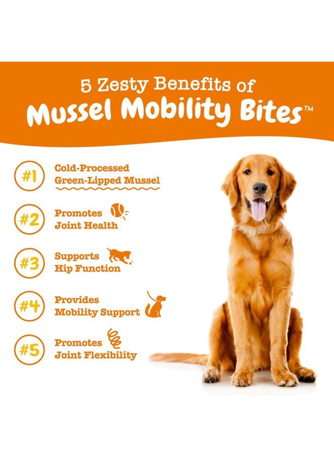 Mussel Mobility Bites for Dogs - New Zealand Green Lipped Mussel with Natural Glucosamine & Chondroitin + Omega-3 Fatty Acids - Hip & Joint Support Supplement Soft Chews – 90 Count