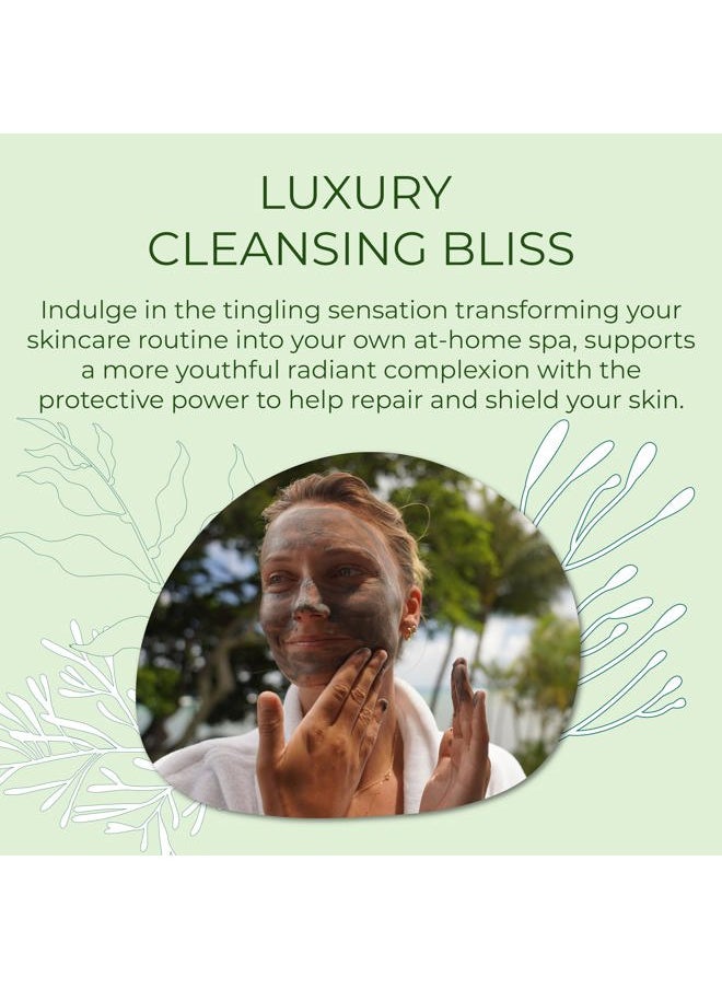 Sea-el Sea Kelp Mud Face Mask Skincare Activated Charcoal & Bentonite Clay Detox & Repair Facial Mask Calming Hydration Boost - Turmeric & Aloe Daily Glow Essentials for Women & Men - 2oz