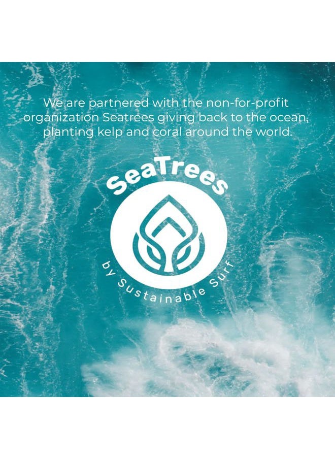 Sea-el Sea Kelp Mud Face Mask Skincare Activated Charcoal & Bentonite Clay Detox & Repair Facial Mask Calming Hydration Boost - Turmeric & Aloe Daily Glow Essentials for Women & Men - 2oz