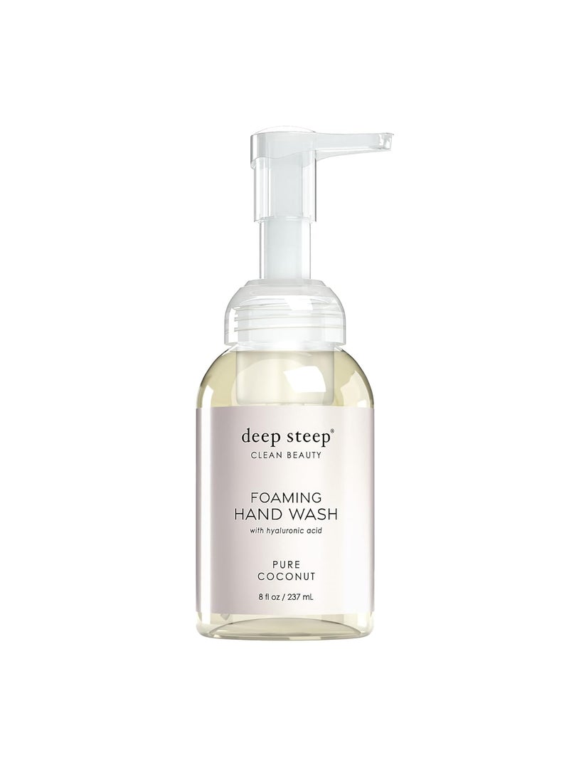 Deep Steep Foaming Hand Wash 8oz Pure Coconut