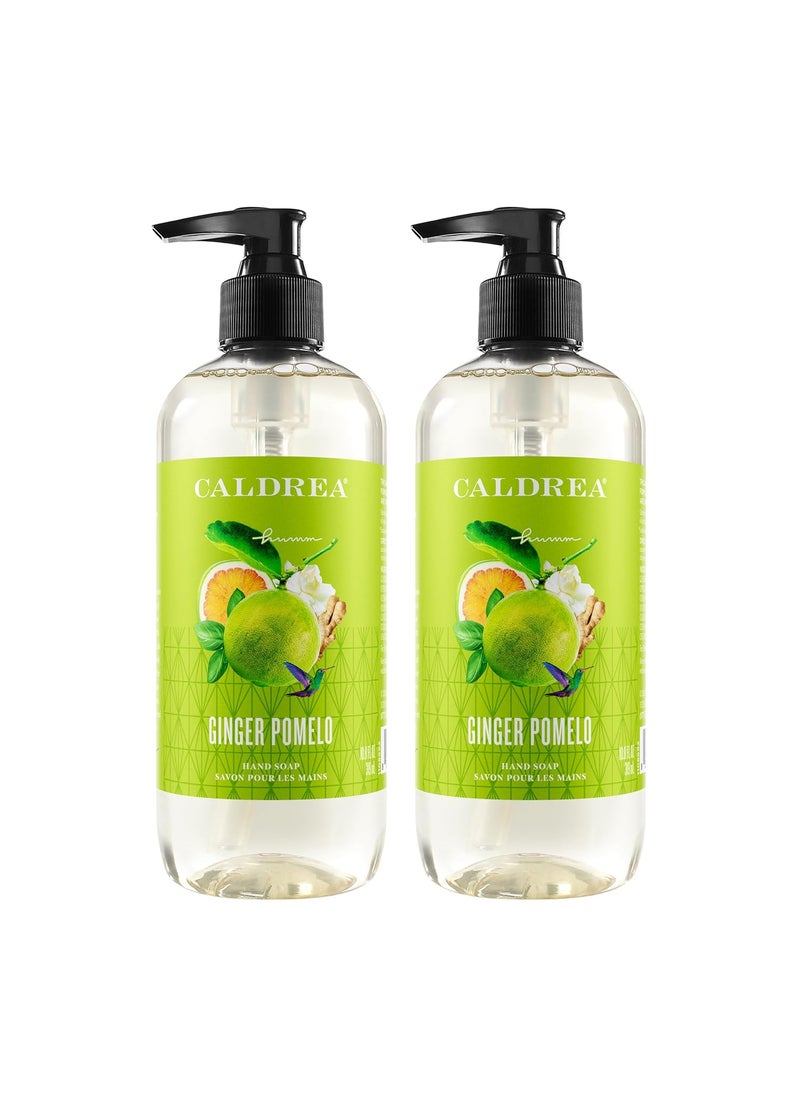 Caldrea Hand Wash Soap Aloe Vera Gel Olive Oil and Essential Oils to Cleanse and Condition Ginger Pomelo Scent 108 oz 2 Pack