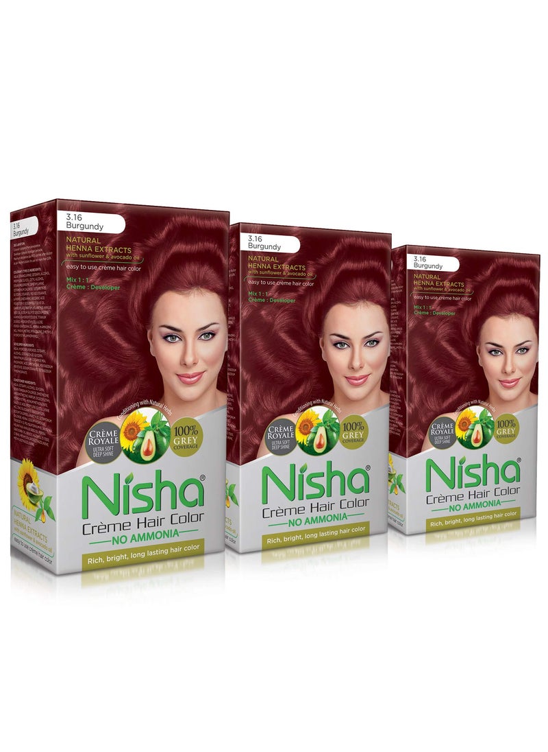 Nisha Creme Hair Color Hair Dye Burgundy Pack of 3