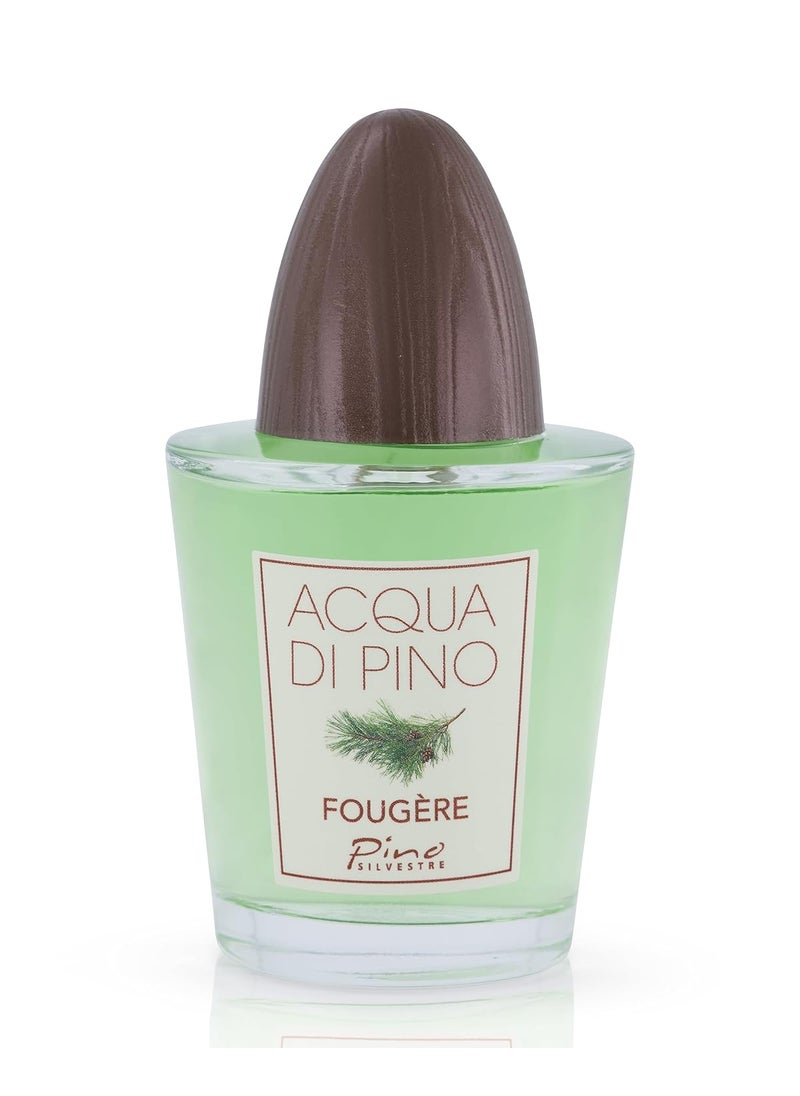 Pino Silvestre Acqua Di Pino Fougere For Men  A Mens Eau De Toilette Cologne Perfume Spray With An Intense Fragrance For Every Guy  A Truly Male Musk For The Fierce Man In Your Life  42 Oz