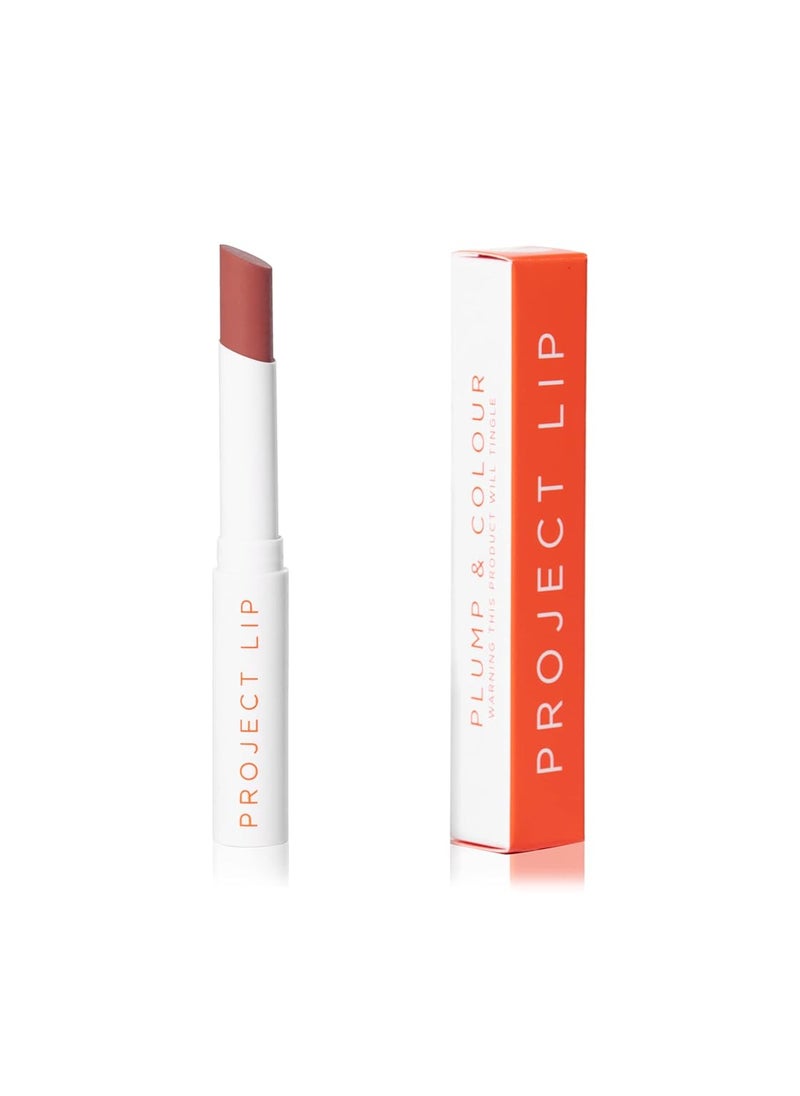 Plump and Colour  Shade Dare nde pinkbrown