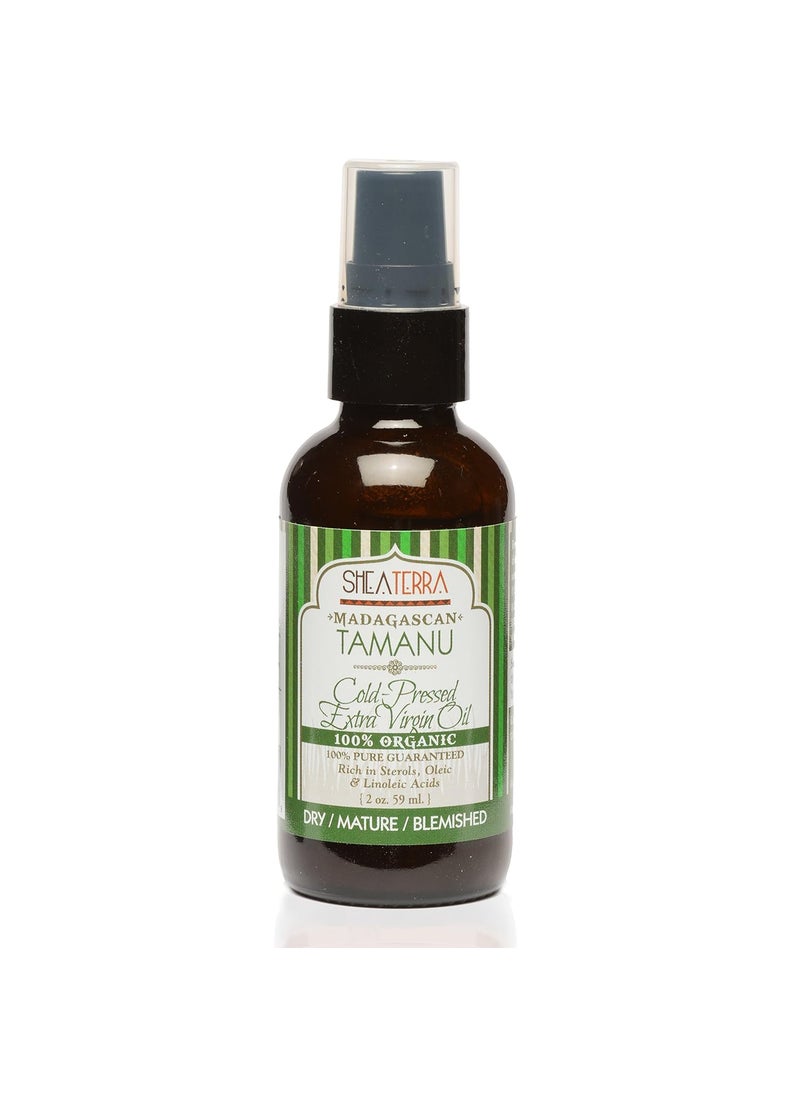 Shea Terra Madagascar Tamanu Coldpressed Extra Virgin Oil All Natural  Organic Oil Rich in AntiAging Amino Acids  AntiAcne Properties for Softer Hydrated  BlemishFree Skin  2 oz