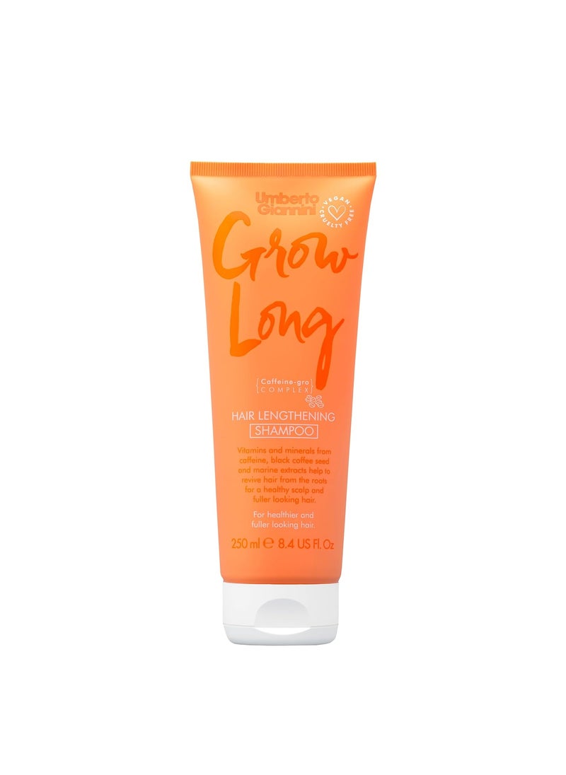 Umberto Giannini Grow Long Root Stimulating Caffeine Shampoo For Hair Growth  Vegan and Cruelty Free Haircare 84 FL OZ