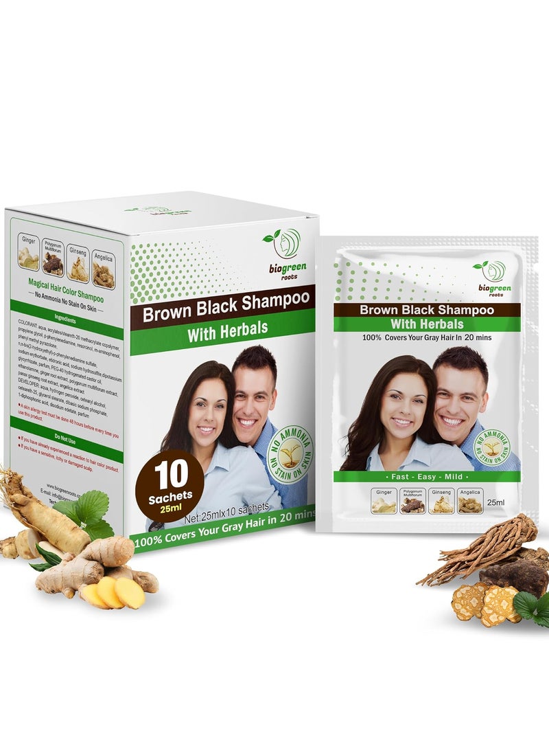 AmmoniaFree Herbal Hair Shampoo  Effectively Covers Gray Hair for Men and Women  Natural Color and Herbal Nourishment  No Stain on Skin  Brown Black 10 sachets x 25 ml