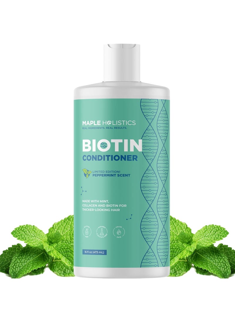 Volumizing Biotin Conditioner for Thinning Hair  Volumizing Conditioner for Fine Thin  Weak Hair  Sulfate Paraben  Silicone Free Hair Conditioner Nourishing Plant Proteins  B Vitamins Mint