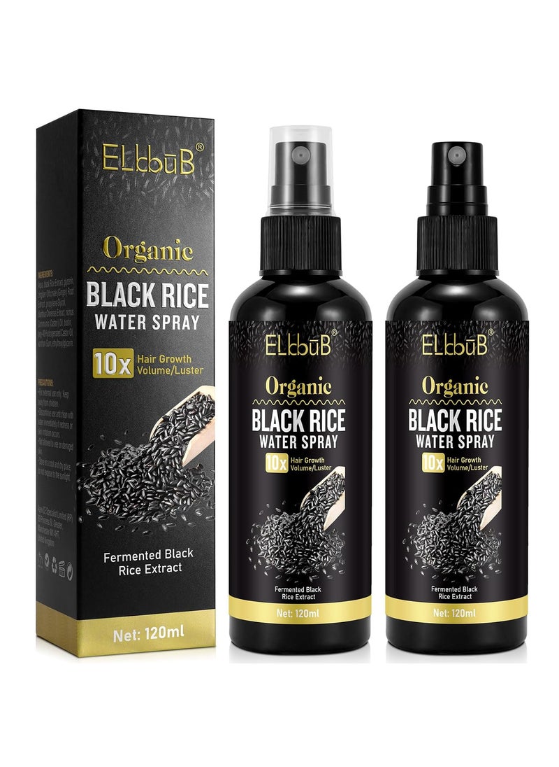 Black Rice Water Hair Growth Serum Spray  Natural Vegan Hair Regrowth Treatment for Men  Women with Castor Oil and Ginger  Ideal for Damaged Dry Hair  Enhances Thickness Length Luster