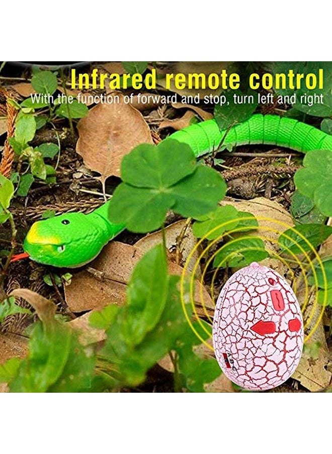 Kiditos R/C Snake Toy Rechargeable, Realistic 16 Inches Long Egg-Shaped Infrared Remote Control Toy, Green