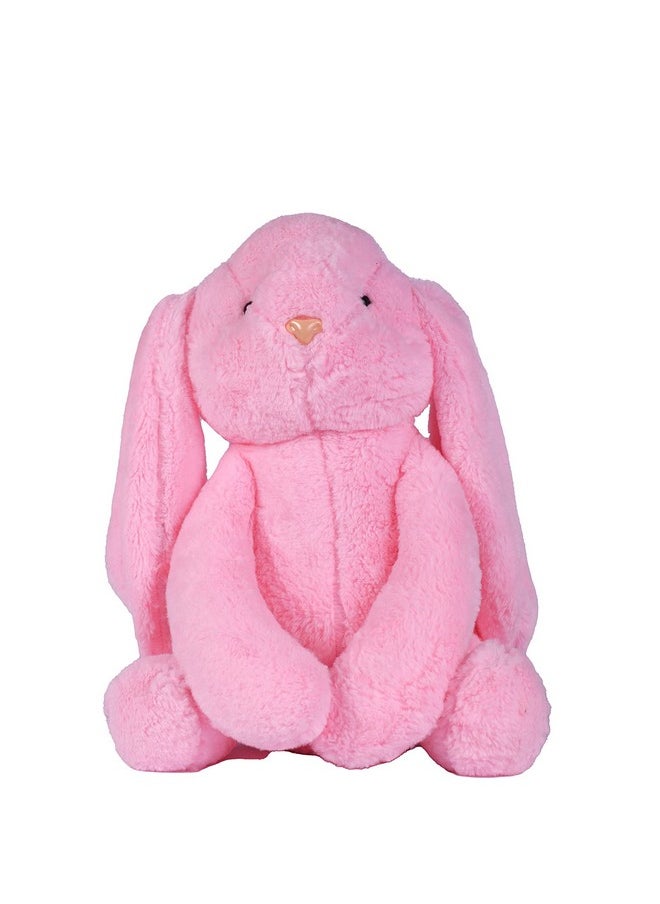 Besties Ball Soft Toy Stuffed Plush Ball Kids Birthday Gift 25 cm (1234)&Besties Pink Bunny Stuffed Soft Toy Plush for Kids Baby Boy Girl Birthday (Ball + Pink Alice Rabbit)