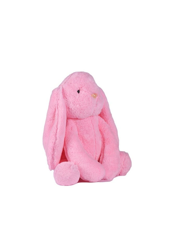 Besties Ball Soft Toy Stuffed Plush Ball Kids Birthday Gift 25 cm (1234)&Besties Pink Bunny Stuffed Soft Toy Plush for Kids Baby Boy Girl Birthday (Ball + Pink Alice Rabbit)