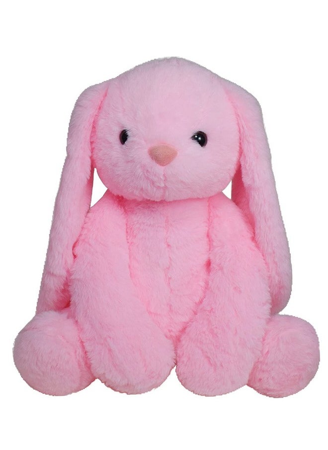 Besties Ball Soft Toy Stuffed Plush Ball Kids Birthday Gift 25 cm (1234)&Besties Pink Bunny Stuffed Soft Toy Plush for Kids Baby Boy Girl Birthday (Ball + Pink Alice Rabbit)