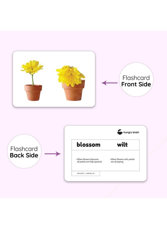 My First Opposites Flash Cards for Toddlers - 24 Cards - 48 Sides, Montessori, Educational, Kindergarten, Preschool Learning Activities, Gifts for Kids, 1-4 Years Babies, Fun & Educational Flashcards