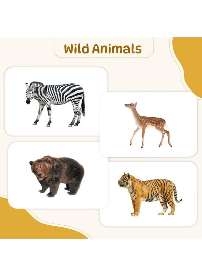 hungry brain Toddler Flash Cards Domestic & Wild Animals, Double-Sided Flash Cards for Toddlers 1-4 Years, 24 Real Image Cards, Montessori Toys, Educational Preschool Learning Activities for Kids
