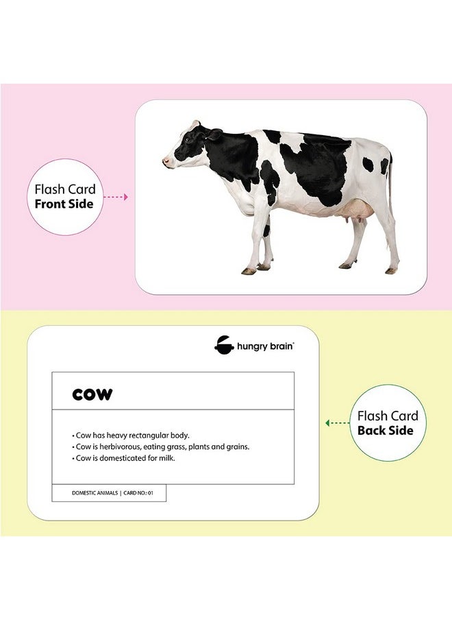 hungry brain Toddler Flash Cards Domestic & Wild Animals, Double-Sided Flash Cards for Toddlers 1-4 Years, 24 Real Image Cards, Montessori Toys, Educational Preschool Learning Activities for Kids
