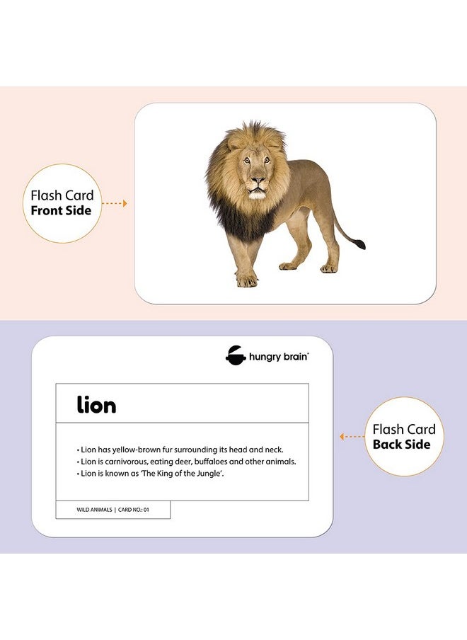 hungry brain Toddler Flash Cards Domestic & Wild Animals, Double-Sided Flash Cards for Toddlers 1-4 Years, 24 Real Image Cards, Montessori Toys, Educational Preschool Learning Activities for Kids