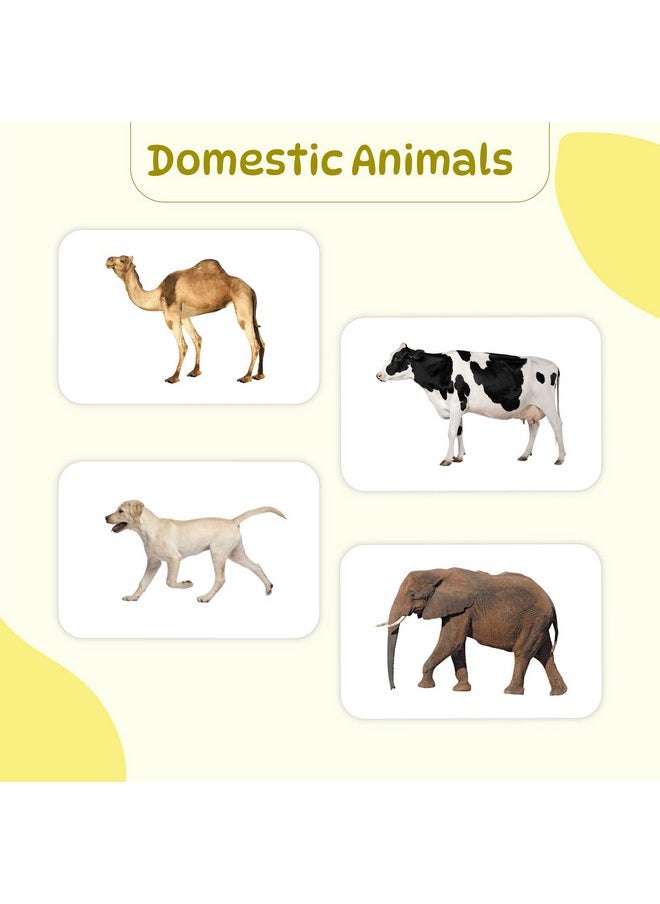 hungry brain Toddler Flash Cards Domestic & Wild Animals, Double-Sided Flash Cards for Toddlers 1-4 Years, 24 Real Image Cards, Montessori Toys, Educational Preschool Learning Activities for Kids