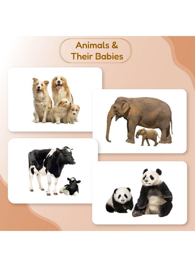 My First Animals & Their Babies Flash Cards for Toddlers, 24 Cards, Montessori, Educational, Kindergarten, Preschool Learning Activities, Gifts for Kids, 1-4 Years Babies, Educational Flashcards