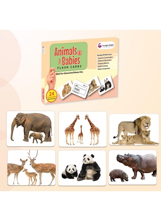 My First Animals & Their Babies Flash Cards for Toddlers, 24 Cards, Montessori, Educational, Kindergarten, Preschool Learning Activities, Gifts for Kids, 1-4 Years Babies, Educational Flashcards