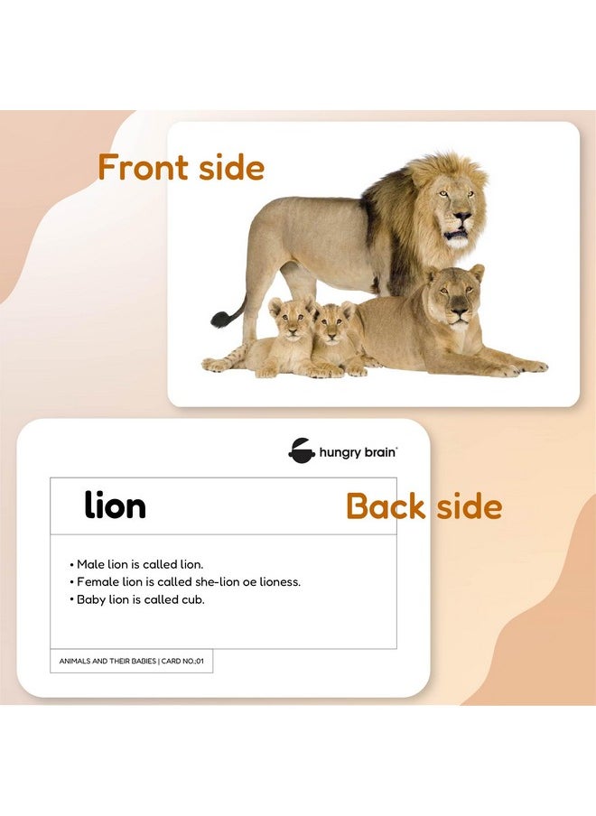 My First Animals & Their Babies Flash Cards for Toddlers, 24 Cards, Montessori, Educational, Kindergarten, Preschool Learning Activities, Gifts for Kids, 1-4 Years Babies, Educational Flashcards