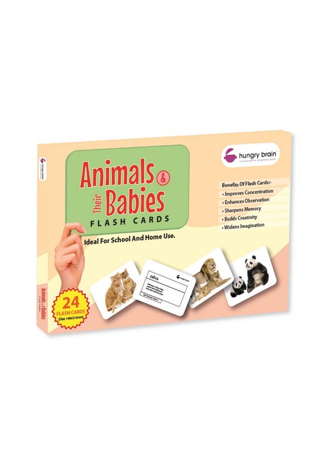 My First Animals & Their Babies Flash Cards for Toddlers, 24 Cards, Montessori, Educational, Kindergarten, Preschool Learning Activities, Gifts for Kids, 1-4 Years Babies, Educational Flashcards