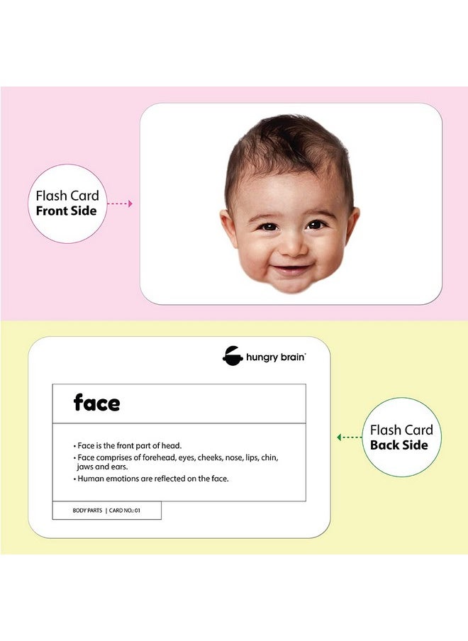 hungry brain Flash Cards for Toddlers, 48 Body Parts & Actions Flashcards, Double-Sided, Montessori, Educational, Kindergarten - Preschool Learning Activities, Gifts for Kids, 1, 2, 3, 4 Years Babies