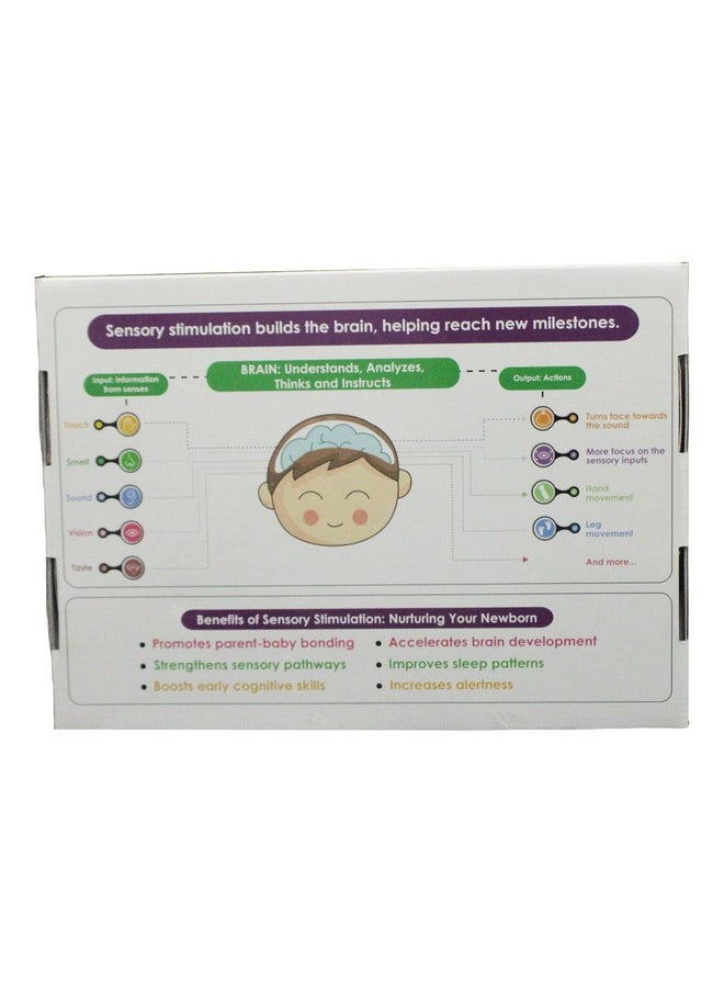 Hungry Brain Newborns Sensory Stimulation Kit for Babies 0 to 1 Months | High Contrast Black & White Flash Cards | Visual, Olfactory, Auditory, Tactile Stimulation | Newborn Learning Kit