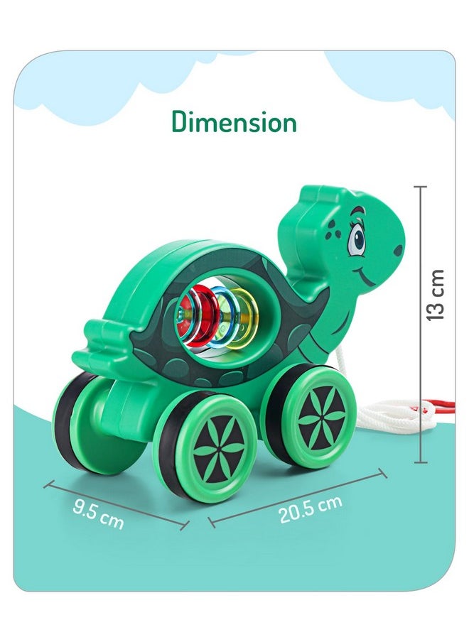 Storio Baby Products Pull Along Toddler Toy, Pull Along Toy with Attractive Design, Developmental Toy for 1 Year Old Girl Boy - Turtle