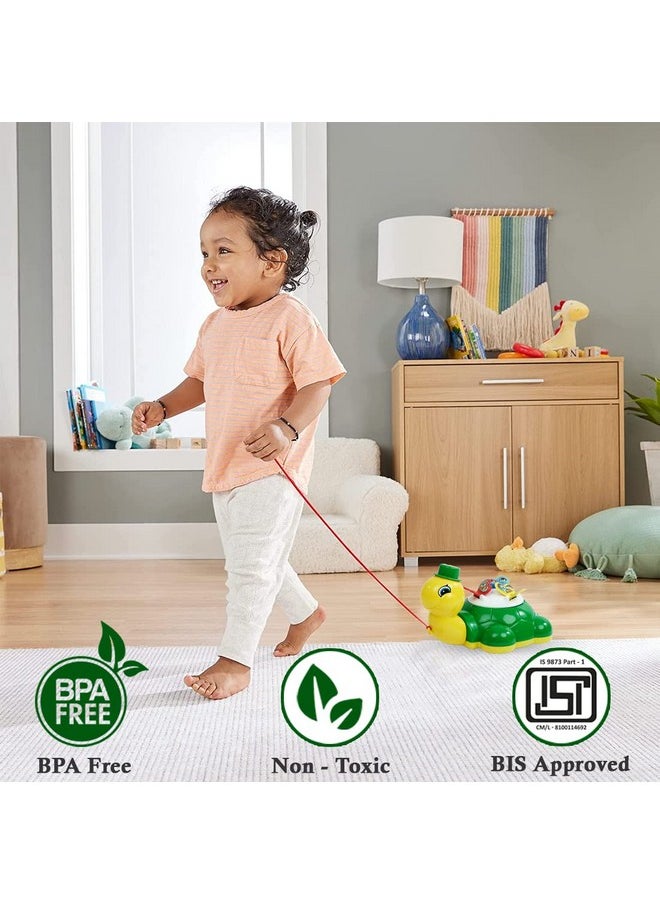 Wembley Turtle Butterfly Pull Along Toy for Ages 1 Year and Above Infants, Toddlers, and Preschool Babies| Multicolor
