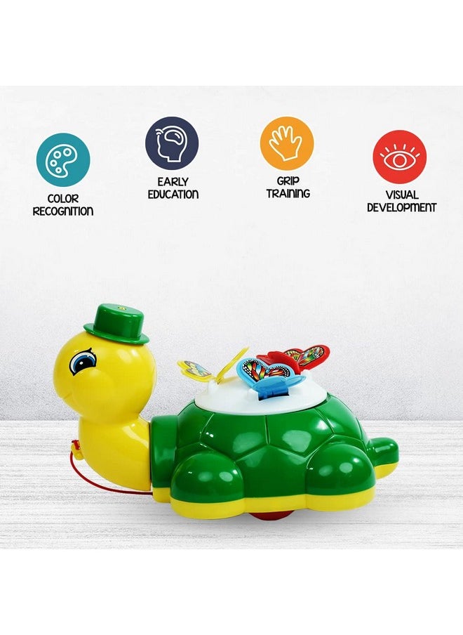 Wembley Turtle Butterfly Pull Along Toy for Ages 1 Year and Above Infants, Toddlers, and Preschool Babies| Multicolor