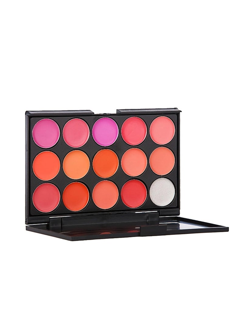 FantasyDay Pro Matte 15 Colors NonSticky Lip Gloss Palette Lipgloss Makeup Kit Cosmetic Contouring Palette