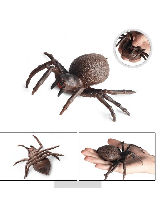 SUPER TOY Realistic Animal Figure Toy Set, Arthropodsmissulena Figurine Set for Boys and Girls, Educational Toy Animal, Cold Blooded Animal Set, Props Toys, Prank Toy, Lifelike Animal Toy