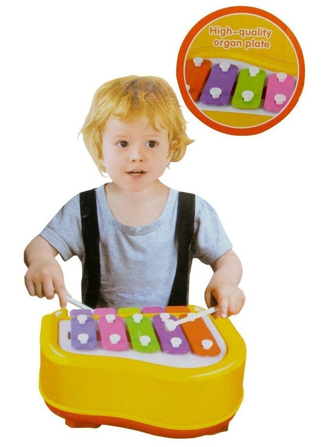 Webby Musical Xylophone and Mini Piano (Assorted Color)