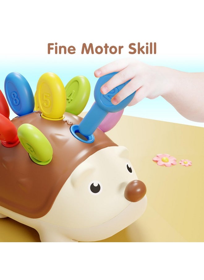 iPlay, iLearn Fine Motor Toys for Toddlers 1-3, Baby Hedgehog Montessorri Learning Set, Educational Counting Sorter Toy, Development Infant Gifts 9 12 18 Month 1 2 3 Year Old Boys Girls Kids Babies