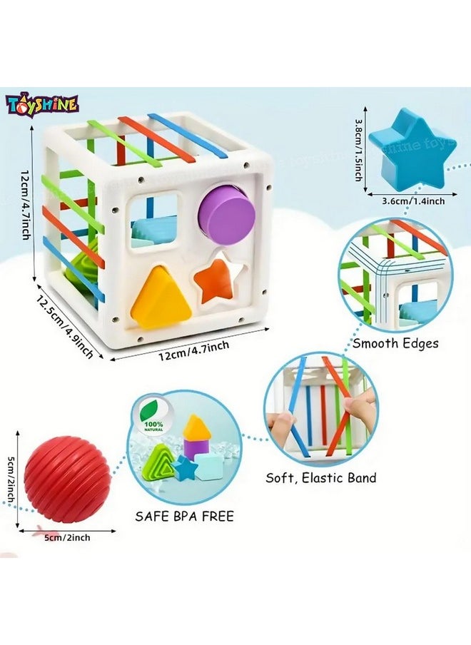 Toyshine Shape Sorter Baby Toys, Montessori Toys for 1 Year Old Boys Girls, Activity Cube Sensory Bin for Babies Toddlers 6 12 18 Months, Birthday Gifts- Small