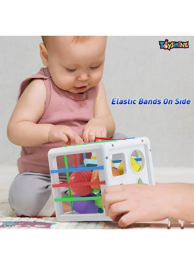 Toyshine Shape Sorter Baby Toys, Montessori Toys for 1 Year Old Boys Girls, Activity Cube Sensory Bin for Babies Toddlers 6 12 18 Months, Birthday Gifts- Small