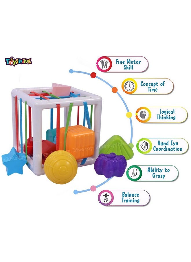 Toyshine Shape Sorter Baby Toys, Montessori Toys for 1 Year Old Boys Girls, Activity Cube Sensory Bin for Babies Toddlers 6 12 18 Months, Birthday Gifts- Small