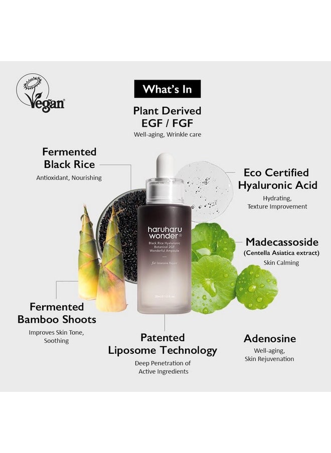 Haruharu Wonder Black Rice Botanical 2GF Ampoule 1 fl.oz / 30ml | Facial Serum, EGF Serum, Anti-Aging Serum, Wrinkle Care | Cruelty Free, EWG-Green