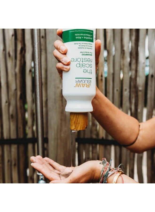 Raw Sugar Scalp Restore Hair Care Bundle, Shampoo and Conditioner Set with Jojoba, Aloe and Niacinamide, Formulated without Sulfates + Parabens