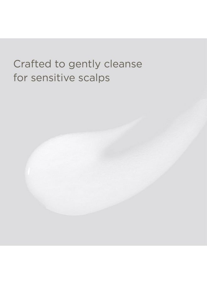 Hairitage Down to the Basics Fragrance-free Shampoo For Sensitive Scalps, 13 Fl Oz