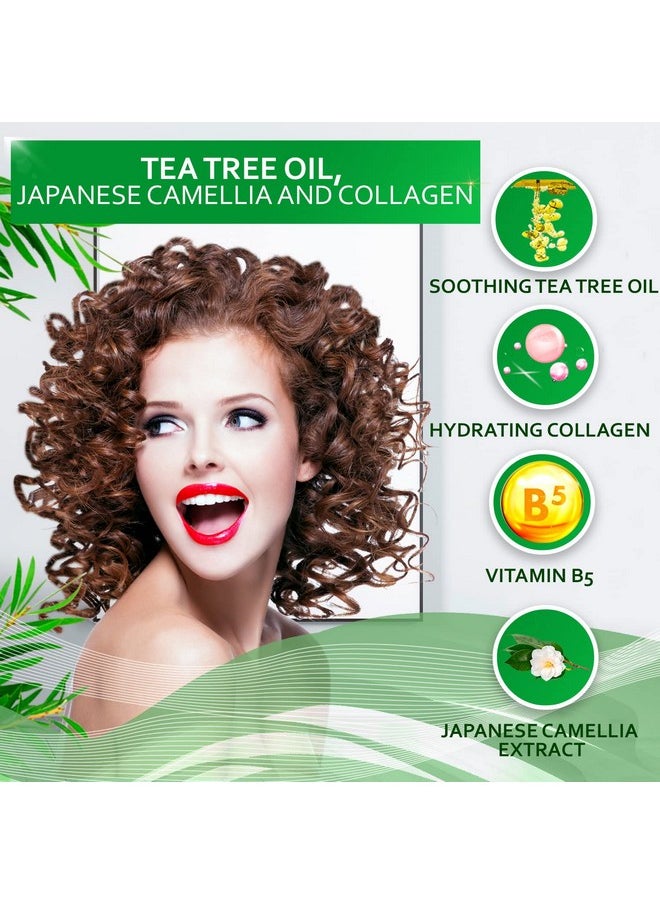 Tea Tree Oil Shampoo and Conditioner Set - Anti Dandruff Treatment for Itchy, Dry Scalps - Ideal for Women and Men with Oily Hair and Scalp Buildup - Sulfate and Paraben Free