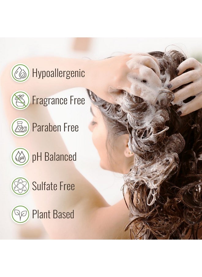 Wild Naturals Eczema Shampoo & Conditioner Set for Men & Women - Anti Dandruff Shampoo for Dry Scalp & Hair - Soothing Relief for Itchy Scalp - Psoriasis Shampoo for Scalp Treatment