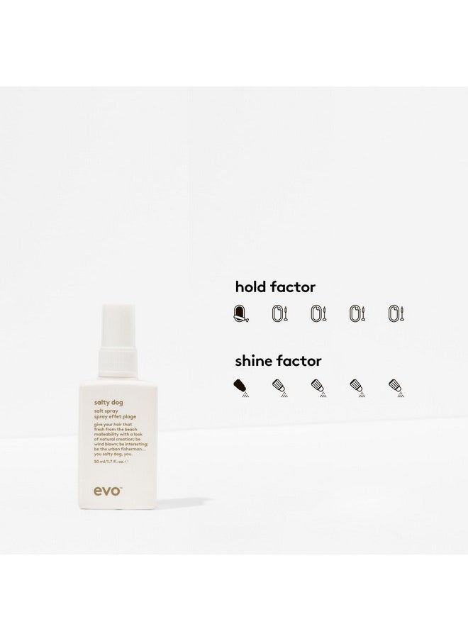 EVO Salty Dog Salt Spray - Hair Texture & Volume Spray - Beach Textured Hair, Natural Matte Finish - Travel Size, 50ml / 1.7fl.oz