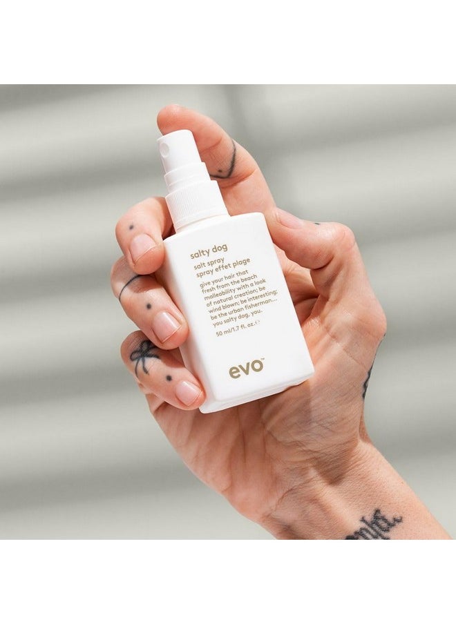 EVO Salty Dog Salt Spray - Hair Texture & Volume Spray - Beach Textured Hair, Natural Matte Finish - Travel Size, 50ml / 1.7fl.oz