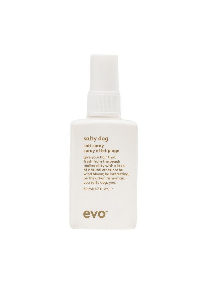 EVO Salty Dog Salt Spray - Hair Texture & Volume Spray - Beach Textured Hair, Natural Matte Finish - Travel Size, 50ml / 1.7fl.oz