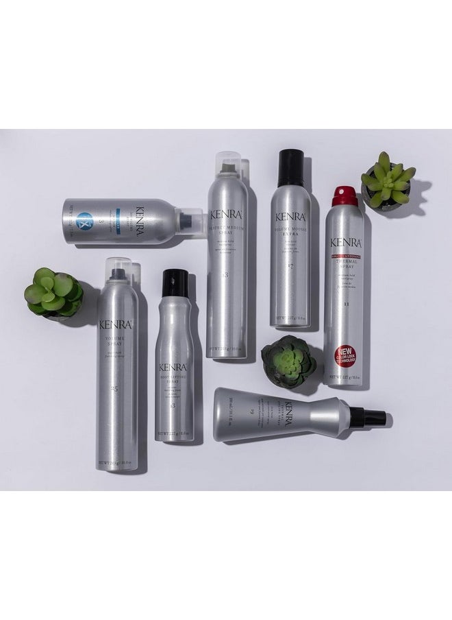 Kenra Thermal Styling Spray 19 | Heat Protection Spray | Firm Hold Heat-Activated Spray | Tames Frizz, Flyaways & Adds Shine | All Hair Types | 10 fl. Oz (2-Pack)