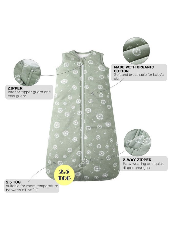Owlivia Baby Sleep Sack Organic Cotton Sleeping Bag with- 2.5tog Sleeping Bag with 2-Way Zipper, Boys Girls Swaddle Transition Sleep Sack (2.5tog Green Dandelion, 18-24 Months)