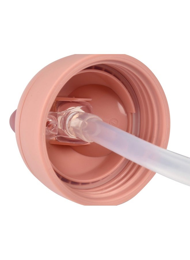 Straw Sippy Cup, Sippy Cup With Removable Handles, Sippy Cup With Straw, Baby Straw Cup, Toddler Cup, Toddler Straw Cups, 8+ Months, 10 Oz, Rose